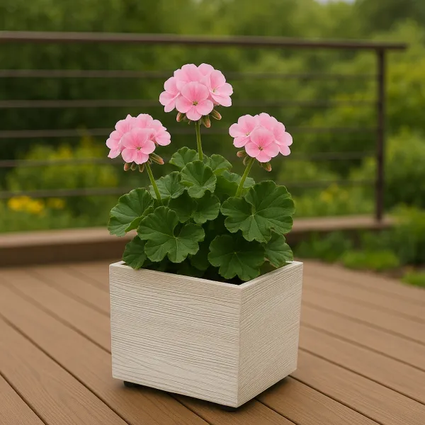 Prosperplast Květináč MADEIRA EKO I bílý, varianta 38,5 cm
