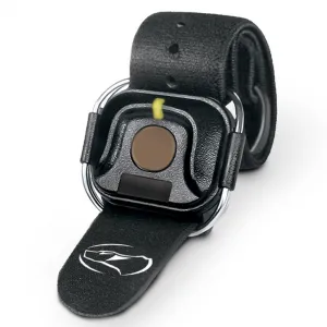Dogtra ARC 1202S pre 2 psy