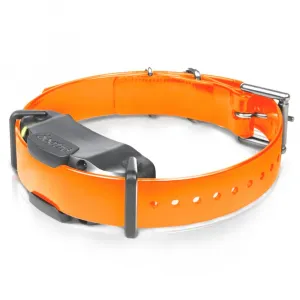 Dogtra ARC 1202S pre 2 psy