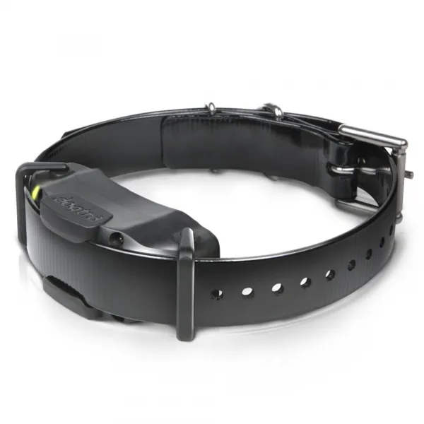Dogtra ARC 1202S pre 2 psy