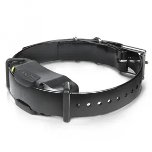 Dogtra ARC 1202S pre 2 psy