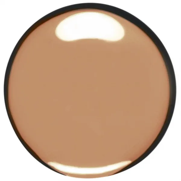 Clarins Skin Illusion Natural Hydrating Foundation rozjasňujúci hydratačný make-up SPF 15 odtieň 113C Chestnut 30 ml