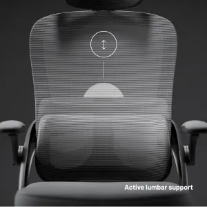 Ergonomická kancelárska stolička Diablo V-Light, sivá