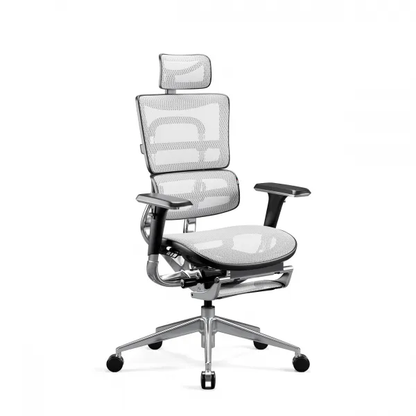 Ergonomické kreslo Diablo V-Master, čierno-biele