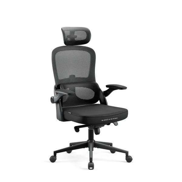 Ergonomická kancelárska stolička Diablo V-Light, čierna