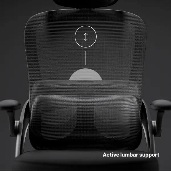 Ergonomická kancelárska stolička Diablo V-Light, čierna