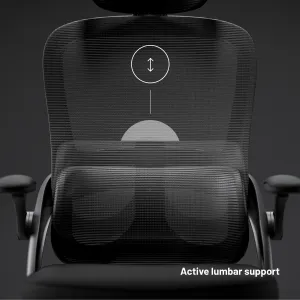 Ergonomická kancelárska stolička Diablo V-Light, čierna