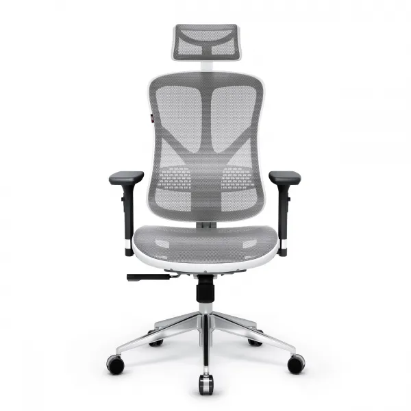 Kancelárska ergonomická stolička Diablo V-Basic, bielo-šedá