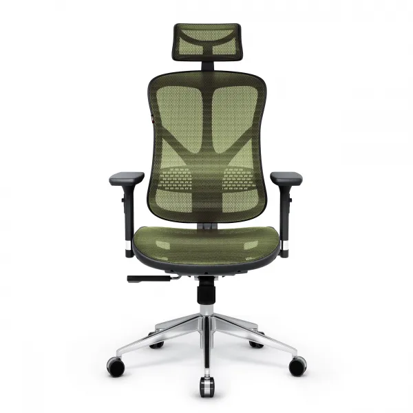 Ergonomické kreslo Diablo V-Basic, čierno-zelené