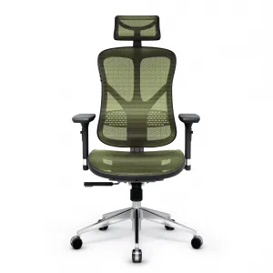 Ergonomické kreslo Diablo V-Basic, čierno-zelené