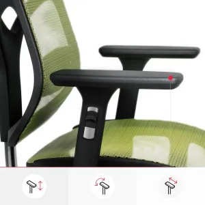 Ergonomické kreslo Diablo V-Basic, čierno-zelené