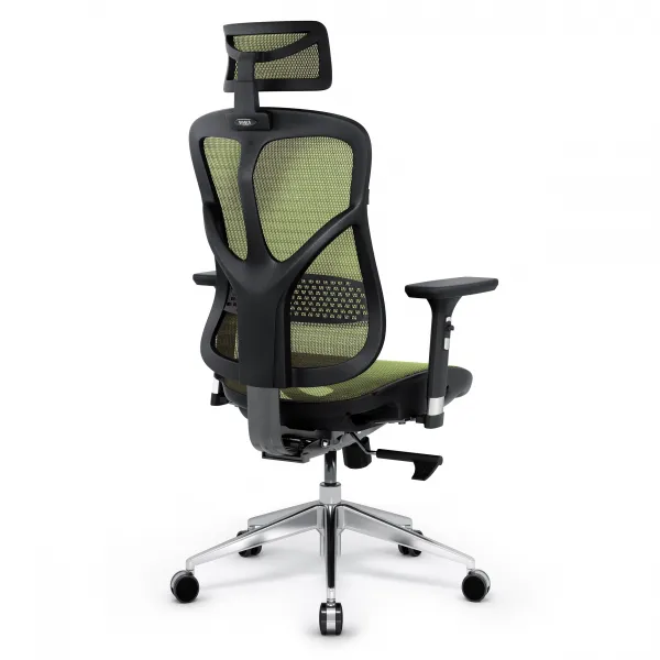 Ergonomické kreslo Diablo V-Basic, čierno-zelené