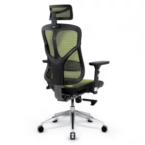 Ergonomické kreslo Diablo V-Basic, čierno-zelené