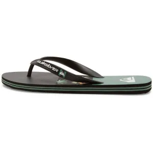 Quiksilver MOLOKAI STRIPE Pánske žabky, čierna, veľkosť 41