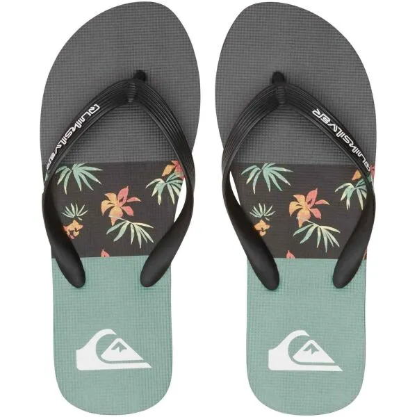 Quiksilver MOLOKAI STRIPE Pánske žabky, čierna, veľkosť 41