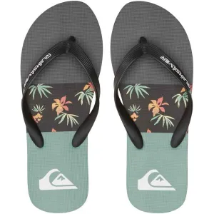 Quiksilver MOLOKAI STRIPE Pánske žabky, čierna, veľkosť 41