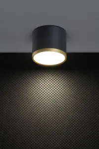 Stropné svietidlo TUBA zlatá + čierna LED 9W 4000K