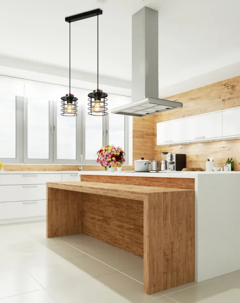 Stropná závesná lampa čierny pásik 2xE27 Glob