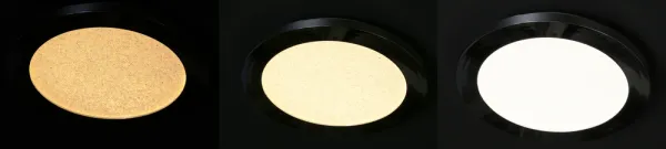 Kúpeľňová stropná lampa PIXEL minimalistická - strieborný chróm 22,5 cm - okrúhla LED stropná lampa so stmievaním 3000K 12W IP441