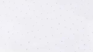 Stropné svietidlo Sky Stropné LED svietidlo 6500K