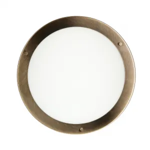 Stropná lampa Aquila Stropná lampa E27 Patina IP44