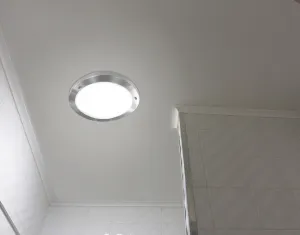 Stropná lampa Aquila 32cm 1xE27 Saténový nikel IP44