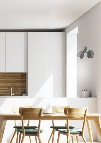 Nástenná lampa Picardo E14 sivo-strieborná