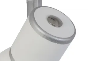 Stropné svietidlo biele/chrómové špirálové 3xE14 Fido
