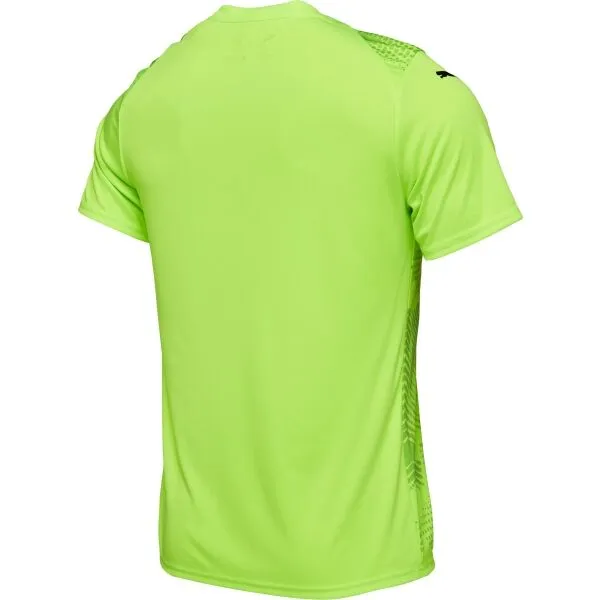 Puma TEAMGLORY JERSEY Pánske futbalové tričko, zelená, veľkosť