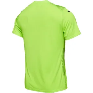 Puma TEAMGLORY JERSEY Pánske futbalové tričko, zelená, veľkosť