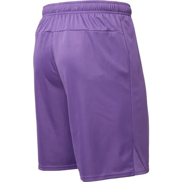 Puma TEAMGOAL SHORTS Pánske futbalové šortky, fialová, veľkosť