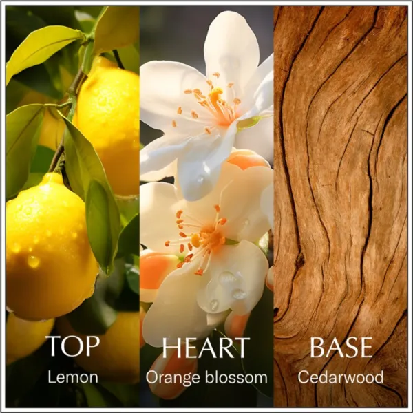 Chanson d'Eau Original Lemon toaletná voda pre ženy 100 ml