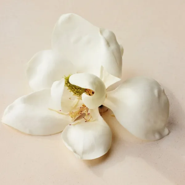 Chloé Atelier des Fleurs Magnolia Alba parfumovaná voda pre ženy 50 ml