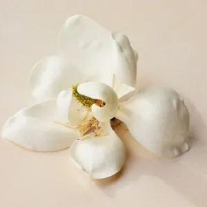 Chloé Atelier des Fleurs Magnolia Alba parfumovaná voda pre ženy 150 ml