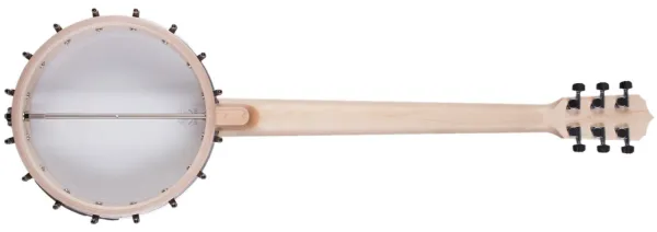 Deering Goodtime 6 Steel String
