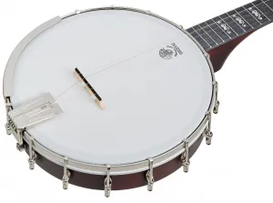 Deering Artisan Goodtime Openback Banjo