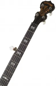 Deering Goodtime Blackgrass Special