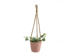 Závesný kvetináč TRIPOLIS 16 cm - viac farieb Farba: Fialová