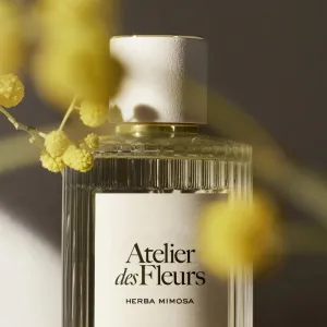 Chloé Atelier des Fleurs Herba Mimosa parfumovaná voda pre ženy 50 ml