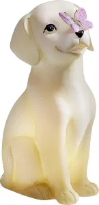 Weltbild Dárková sada LED figurka Pejsek