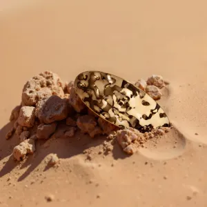 Catrice DESERT DUNE sponka do vlasov C01 Golden Dune 1 ks