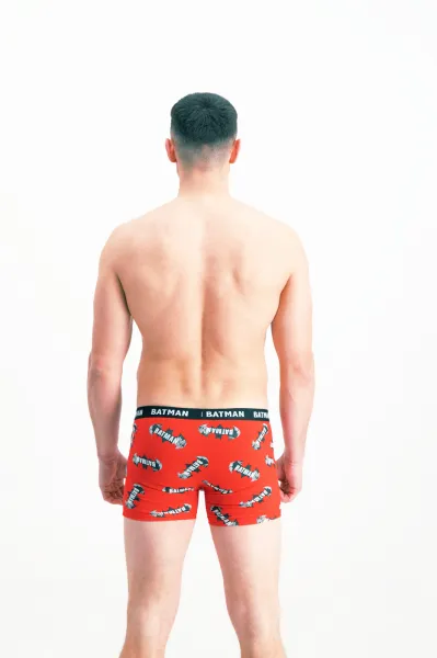 Pánske boxerky Batman 1P - Frogies