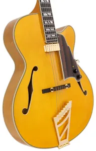 D'Angelico Excel 16 Amber