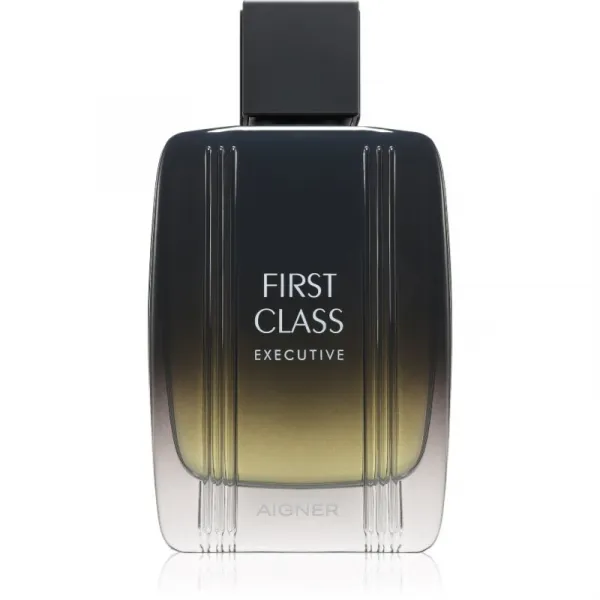 Etienne Aigner First Class Executive toaletná voda pre mužov 100 ml