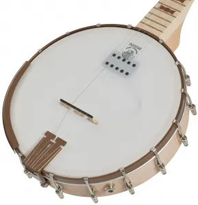 Deering Goodtime Acoustic/Electric