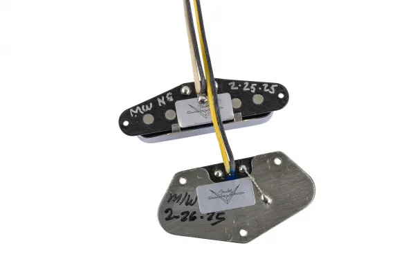Fender Custom Shop 50/51 Blackguard Telecaster Pickups