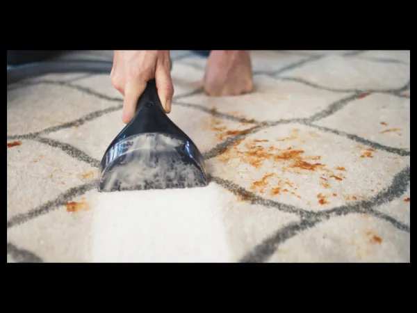 Bissell Bodový čistič Professional 1558N