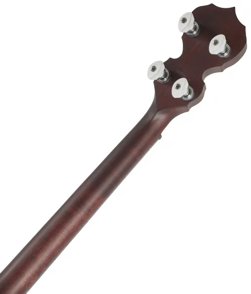 Deering Artisan Goodtime Two 17-Fret Tenor