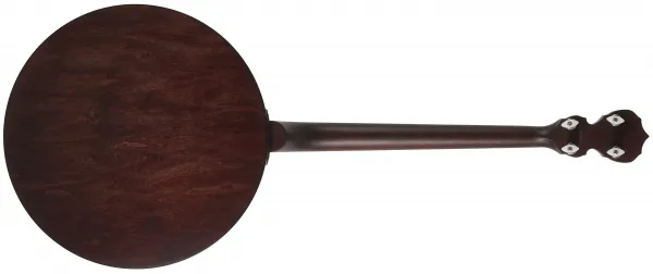 Deering Artisan Goodtime Two 19-Fret Tenor