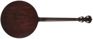 Deering Artisan Goodtime Two 19-Fret Tenor